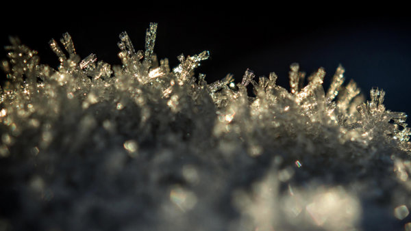 Frost