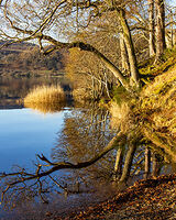 Lake of Menteith