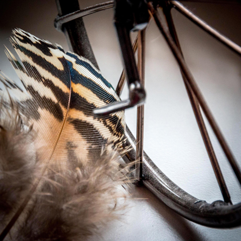 feather & bike