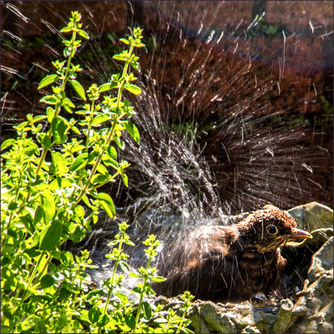 keeping cool