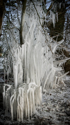 Icicle tree