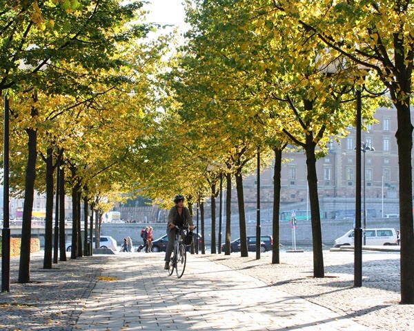 Stockholm cyclist