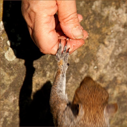 Touch