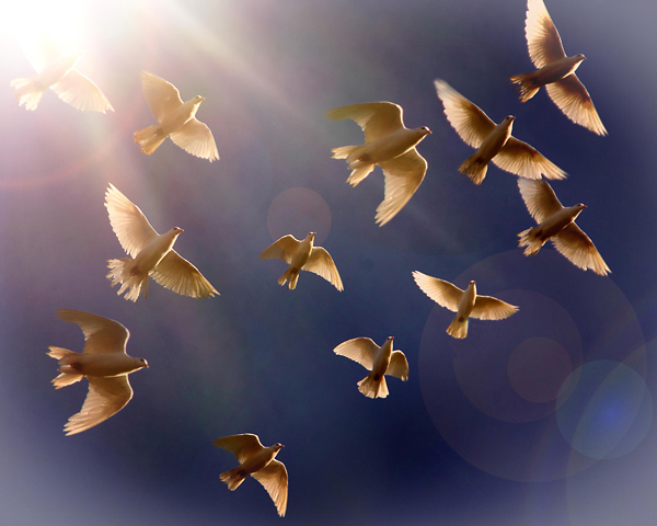 In flight