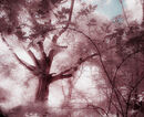 An Unseen World