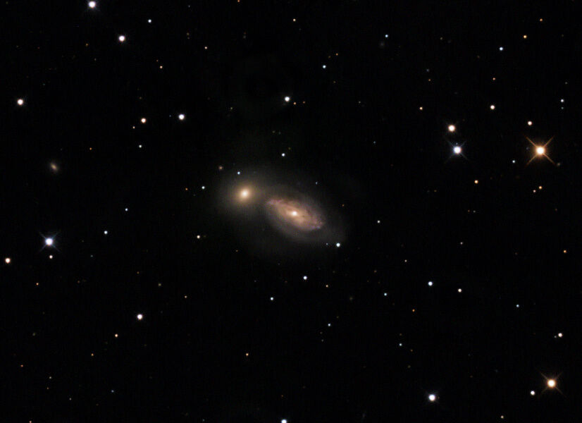 Arp 94 in Leo
