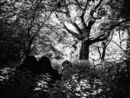 Endings amongst Beginnings
