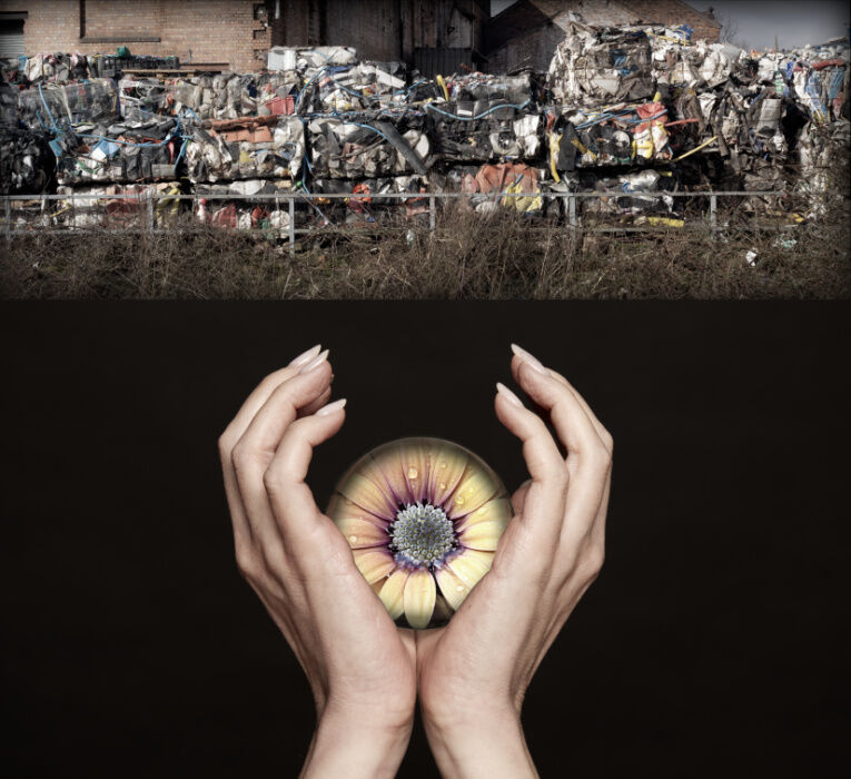 Environmental In Memoriam