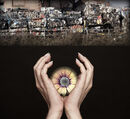 Environmental In Memoriam