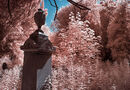 Momento Mori