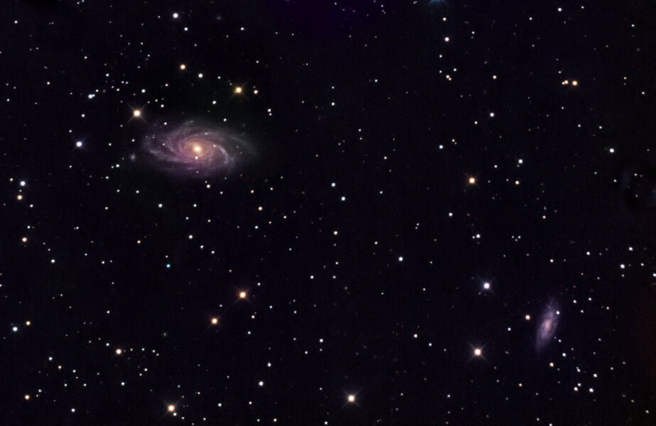 NGC 2336 in Camelopardalis