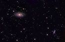 NGC 2336 in Camelopardalis