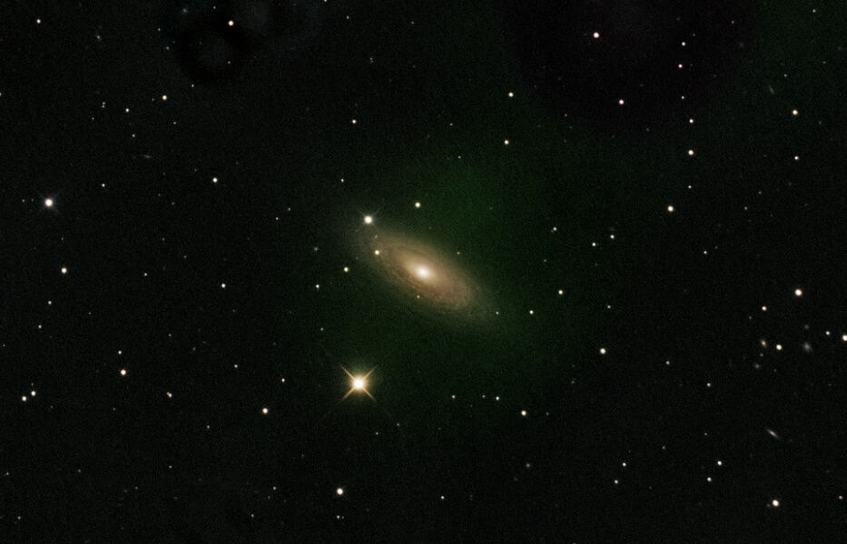 NGC 2841 in Ursa Major