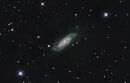 NGC 3198 in Ursa Major