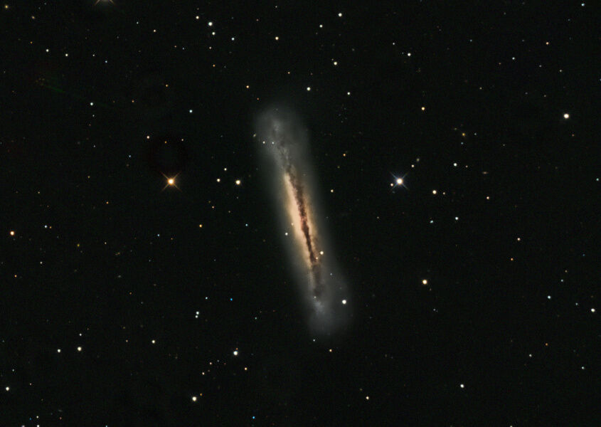 NGC 3628 in Leo