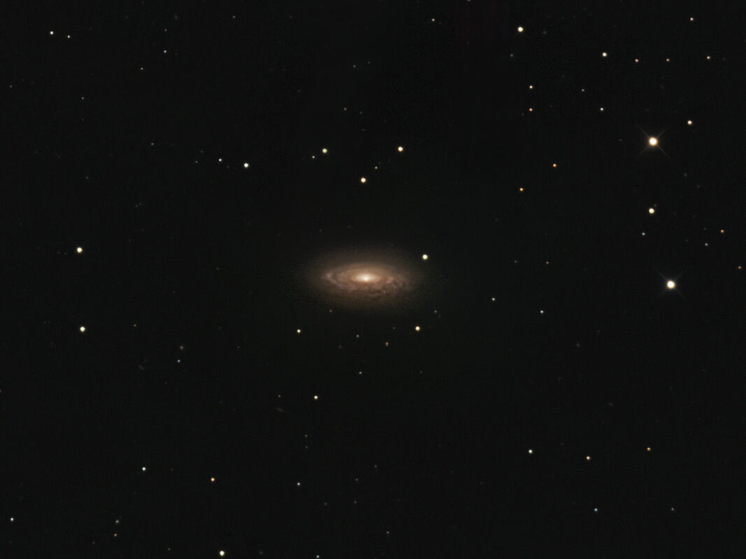 NGC 3675 in Ursa Major