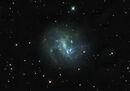 NGC 4395 in Canes Venatici
