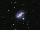 NGC 613 in Sculptor
