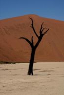Deadvlei
