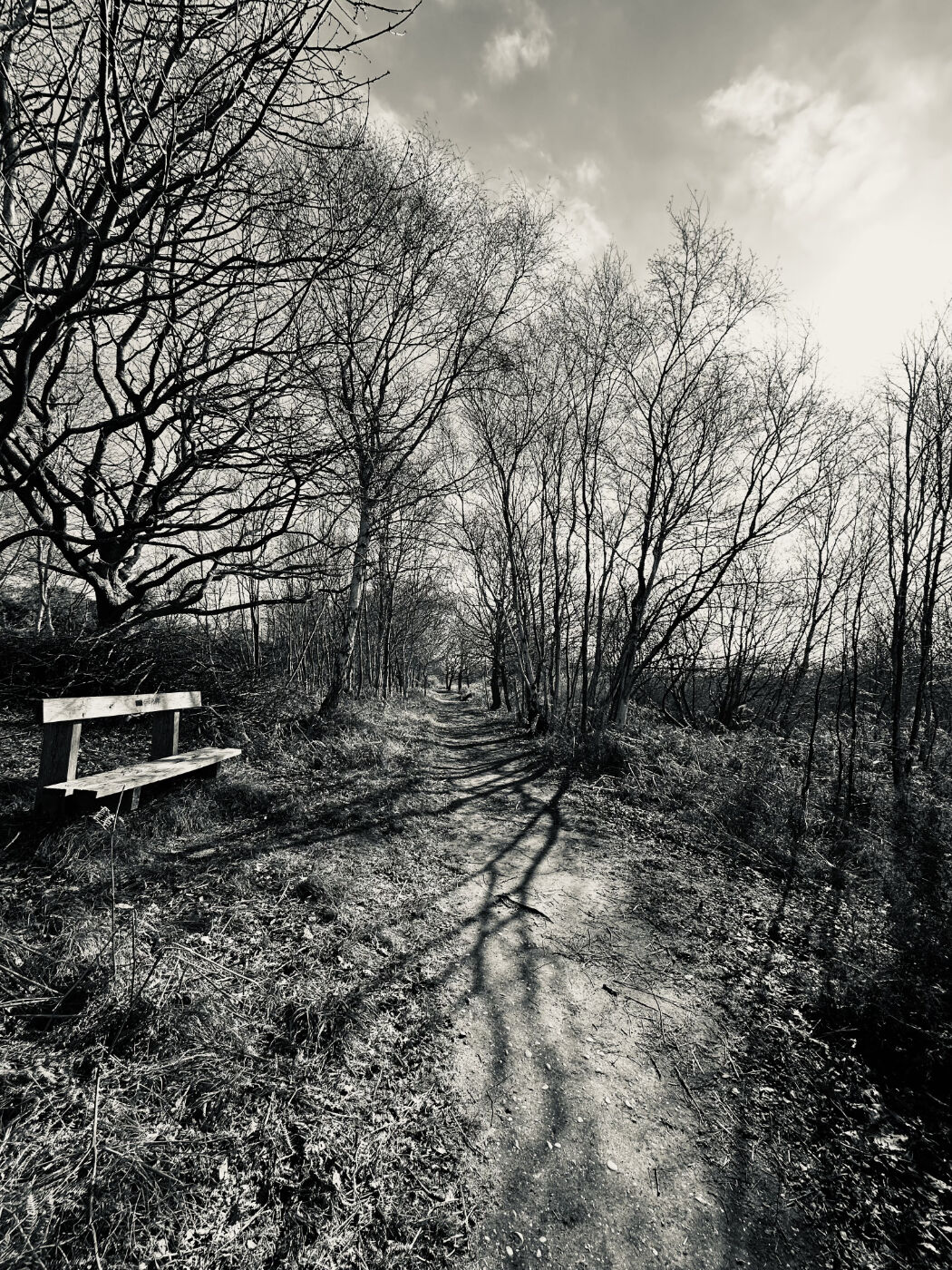 A Place to Rest