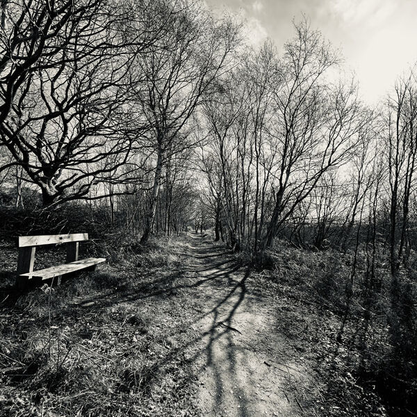 March 2026 competition - 'Open' theme