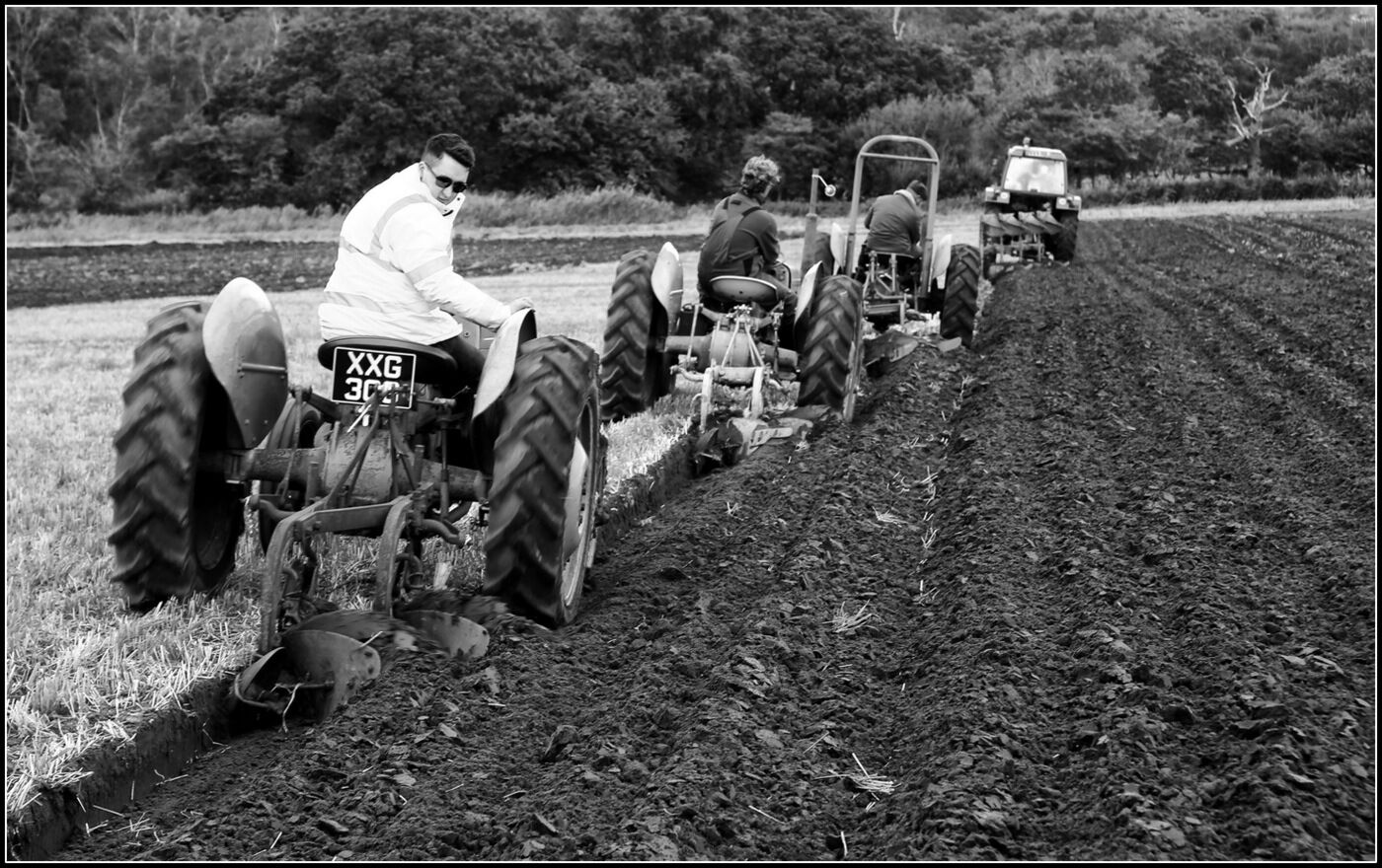 Covehithe Plough Day
