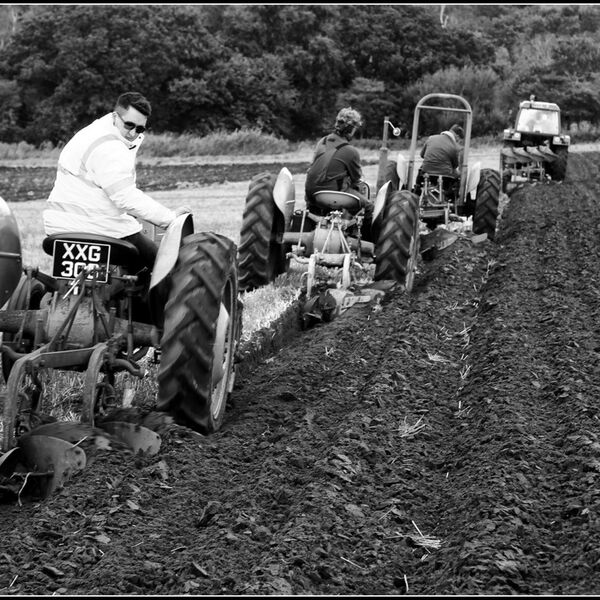 Covehithe Plough Day