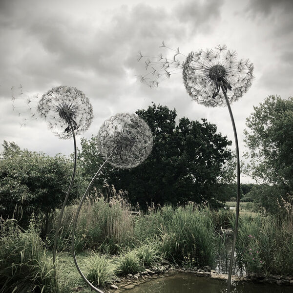 Digital Images (Joint winner) - Pamela Collins