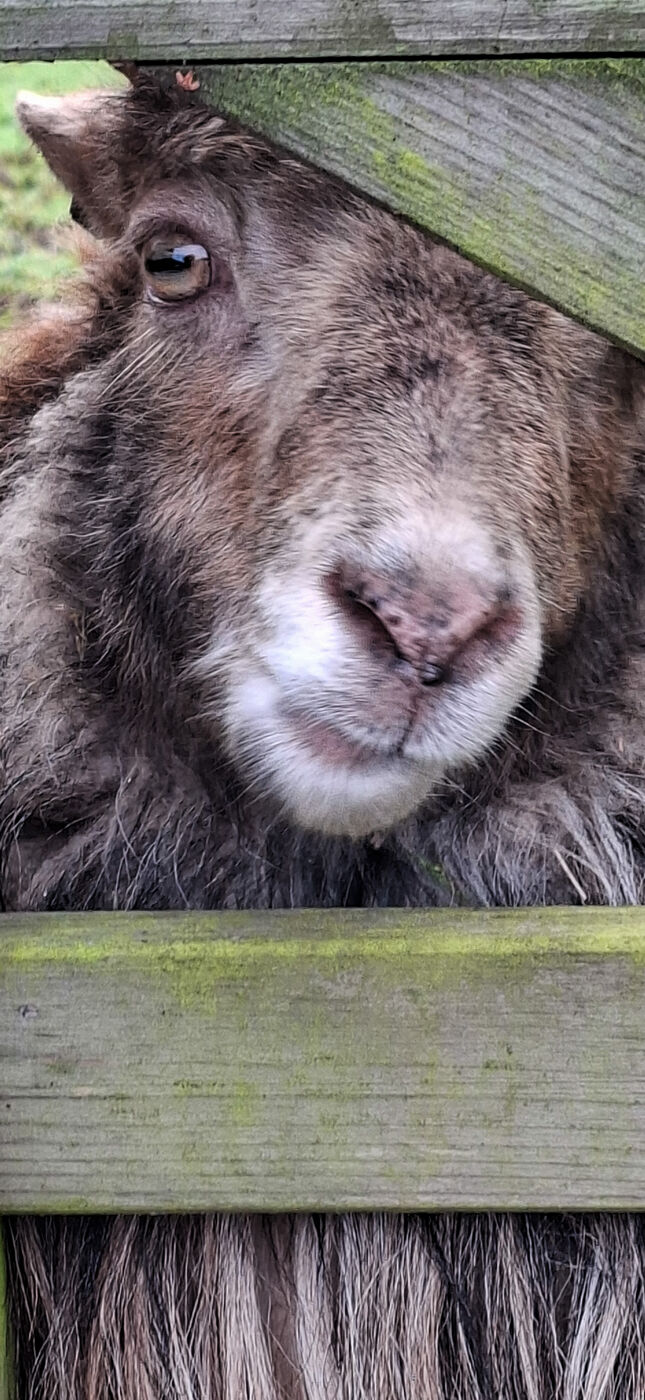 Iv'e got my eye on you.