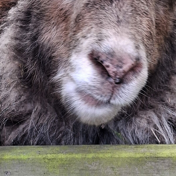 Iv'e got my eye on you.