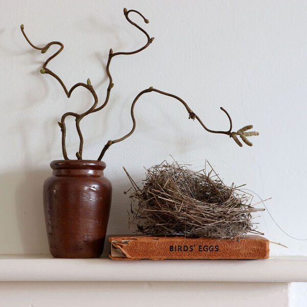 Digital images (Joint winner) -Small Nest by Joy Scriven