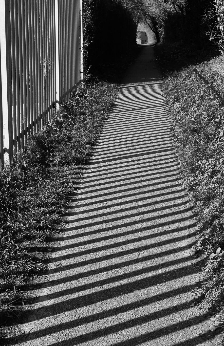 Striking Shadows