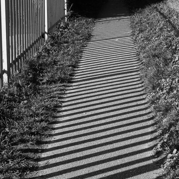 Striking Shadows