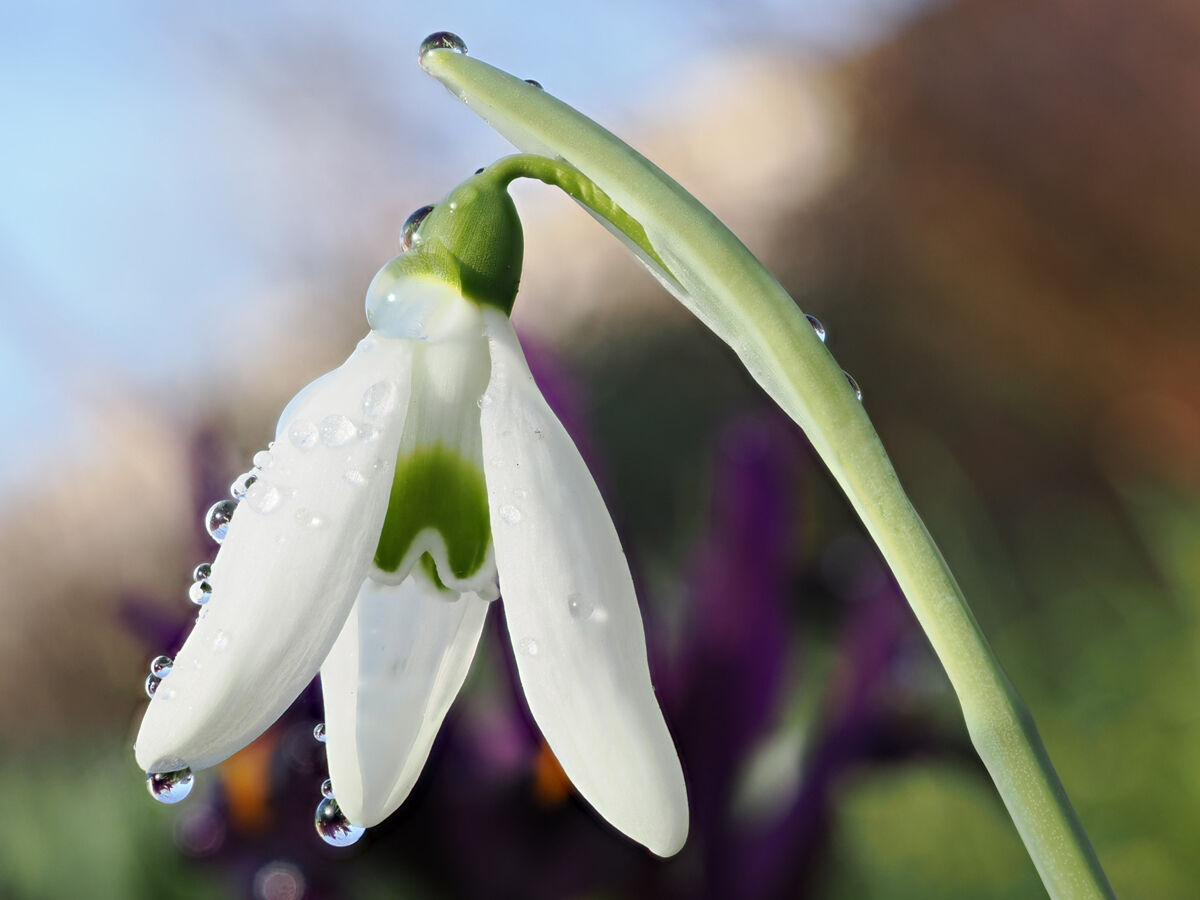 Wet and Cold