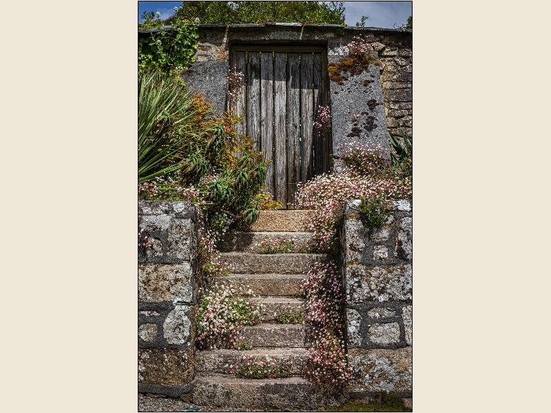 1.Trewidden Garden