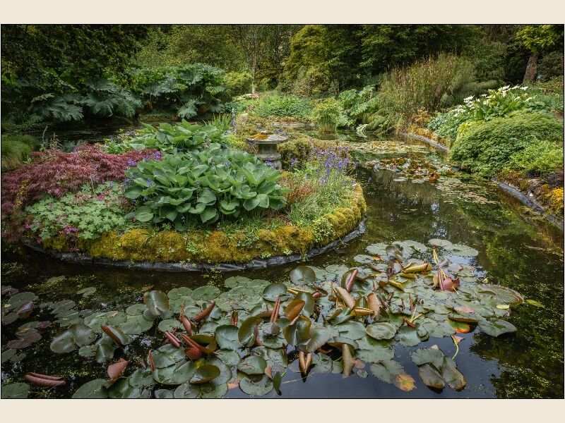 10. Trewidden Pond