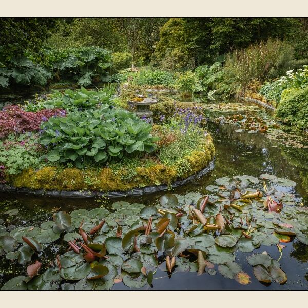 10. Trewidden Pond