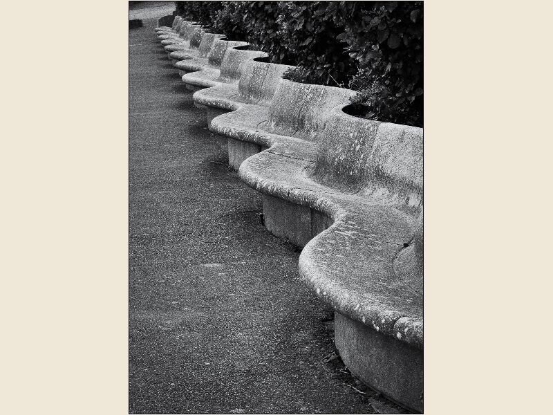 Wavy Lines #1