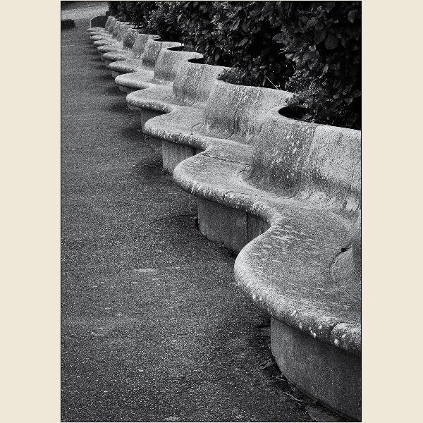 Wavy Lines #1