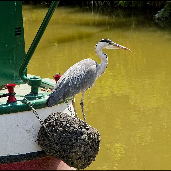 Bradford-on-Avon