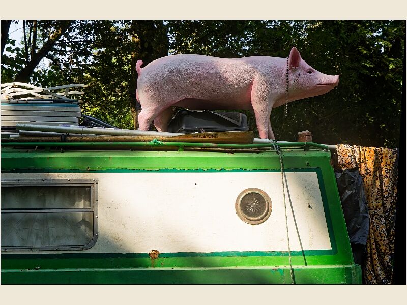 Bradford on Avon 8 Pig on the Boat