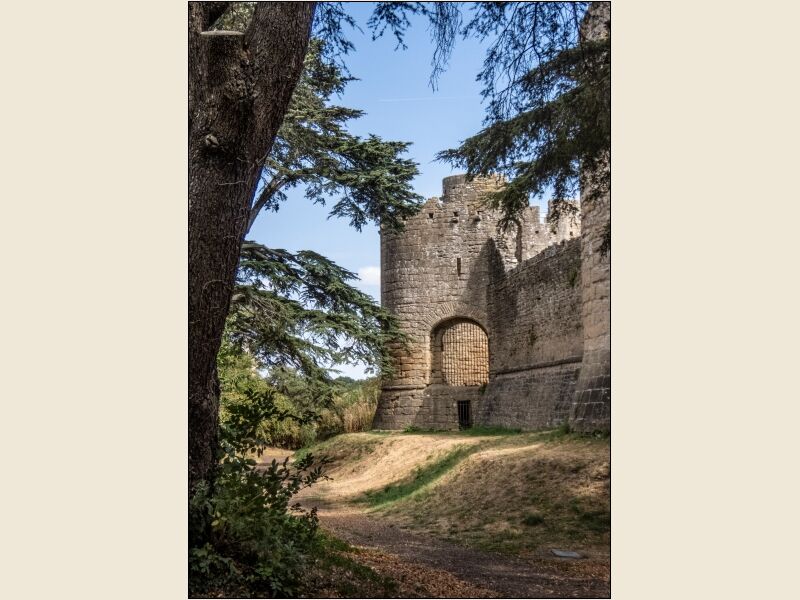 Caldicot Castle 1