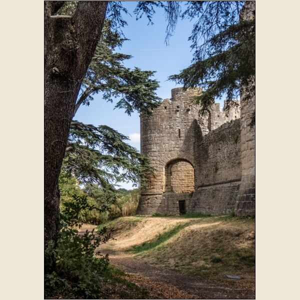 Caldicot Castle 1