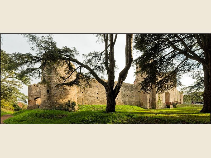 Caldicot Castle 2-Through The Trees