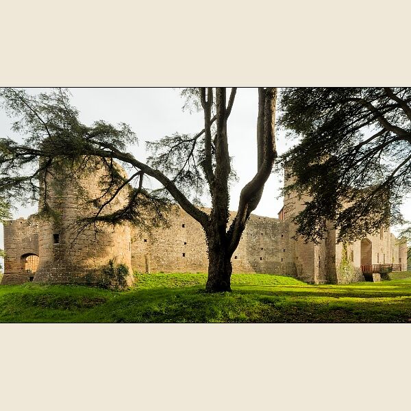 Caldicot Castle 2-Through The Trees