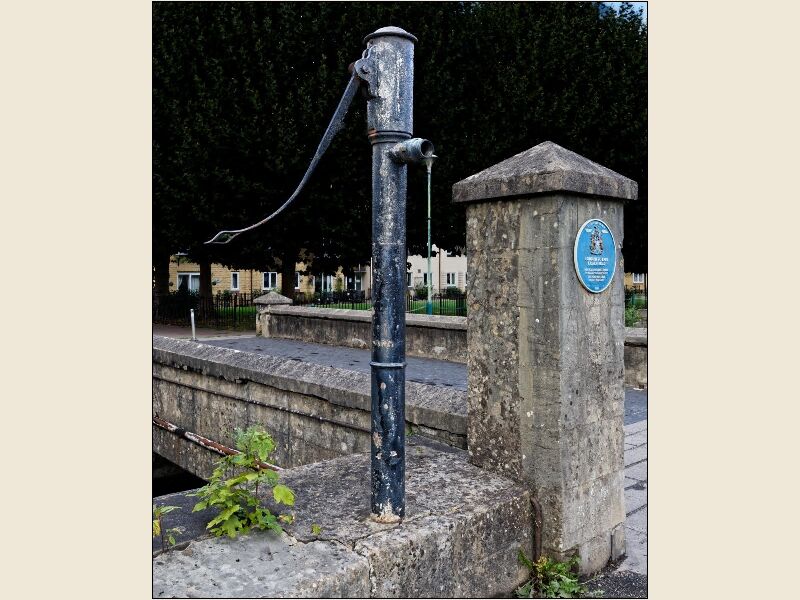 Calne1