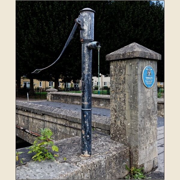 Calne1