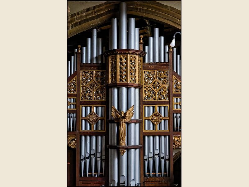 Calne 6