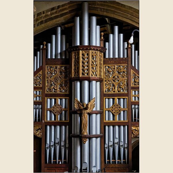 Calne 6