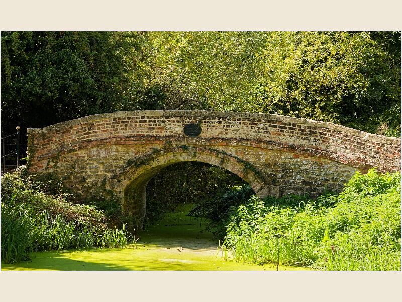 Calne 8